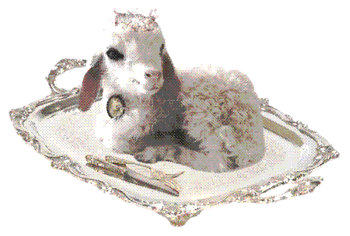 Sanguide Ilustração